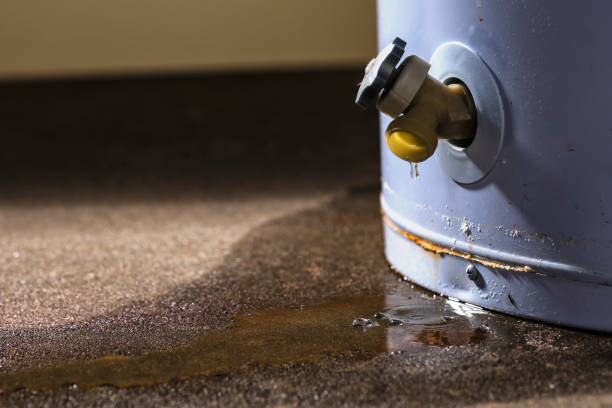 Best Water damage contractors near me  in Hastings, MI