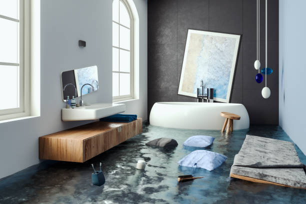 Carpet water damage restoration in Hastings, MI