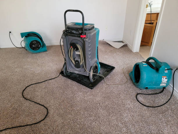 Best Fire Damage Restoration  in Hastings, MI