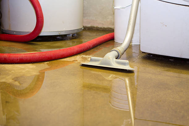 Best Emergency water damage restoration  in Hastings, MI