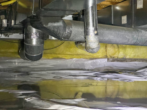 Best Sewage cleanup and water damage restoration  in Hastings, MI
