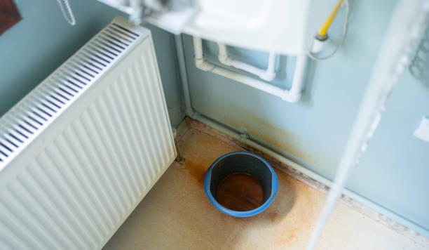 Best Fire Damage Restoration  in Hastings, MI